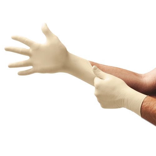 XT Premium Latex Disposable Gloves, Powder-Free, Small, 100/Box-(ANS69318S)