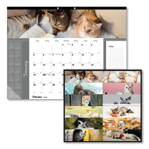 Pets Collection Monthly Desk Pad, Furry Kittens Photography, 22 x 17, White Sheets, Black Binding, 12-Month (Jan-Dec): 2023-(REDC194115)