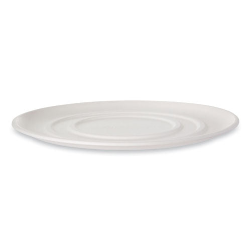 WorldView Sugarcane Pizza Trays, 16 x 16 x 02, White, 50/Carton-(ECOEPSCPTR16)