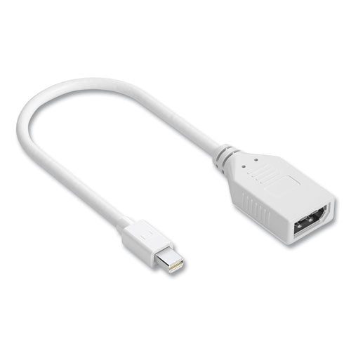 Mini DisplayPort to DisplayPort Adapter, 6", White-(NXT24400023)