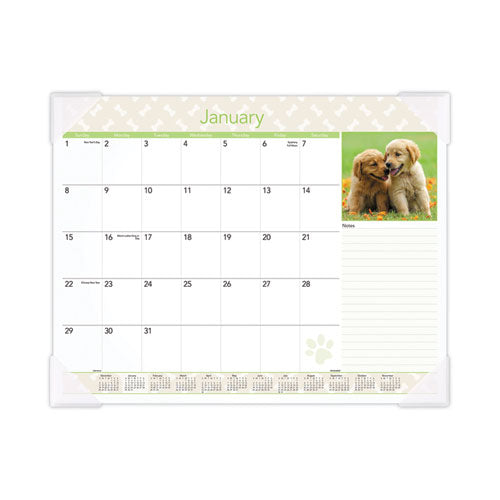 Puppies Monthly Desk Pad Calendar, Puppies Photography, 22 x 17, White Sheets, Clear Corners, 12-Month (Jan to Dec): 2023-(AAGDMD16632)