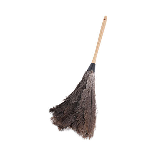 Professional Ostrich Feather Duster, Wood Handle, 20"-(BWK20GY)