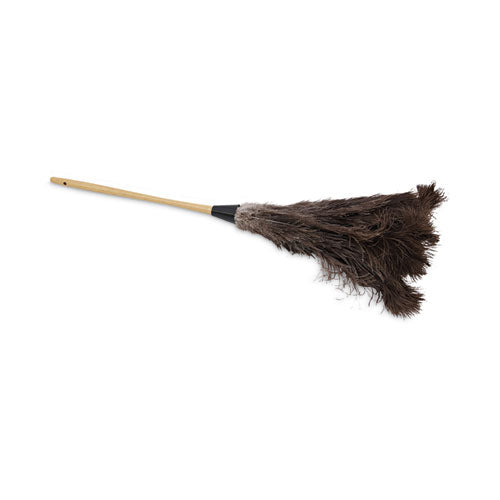 Professional Ostrich Feather Duster, 16" Handle-(BWK28GY)