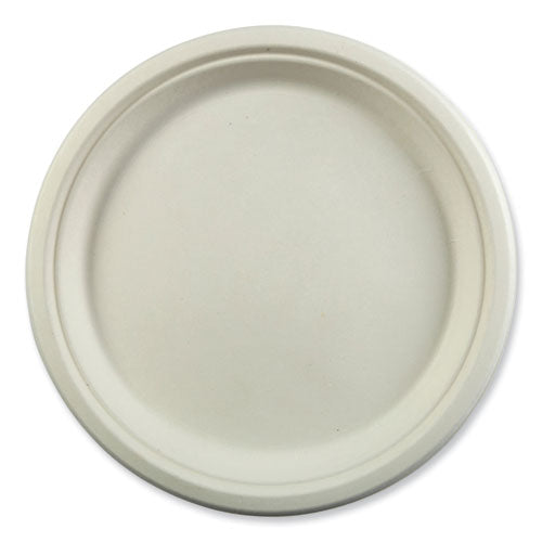 Bagasse PFAS-Free Dinnerware, Plate, 10.27" dia, White, 500/Carton-(RPPPL10NPFA)